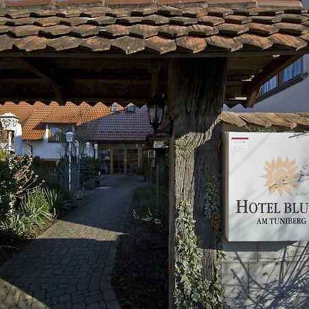 Hotel Blume Freiburg im Breisgau Dış mekan fotoğraf