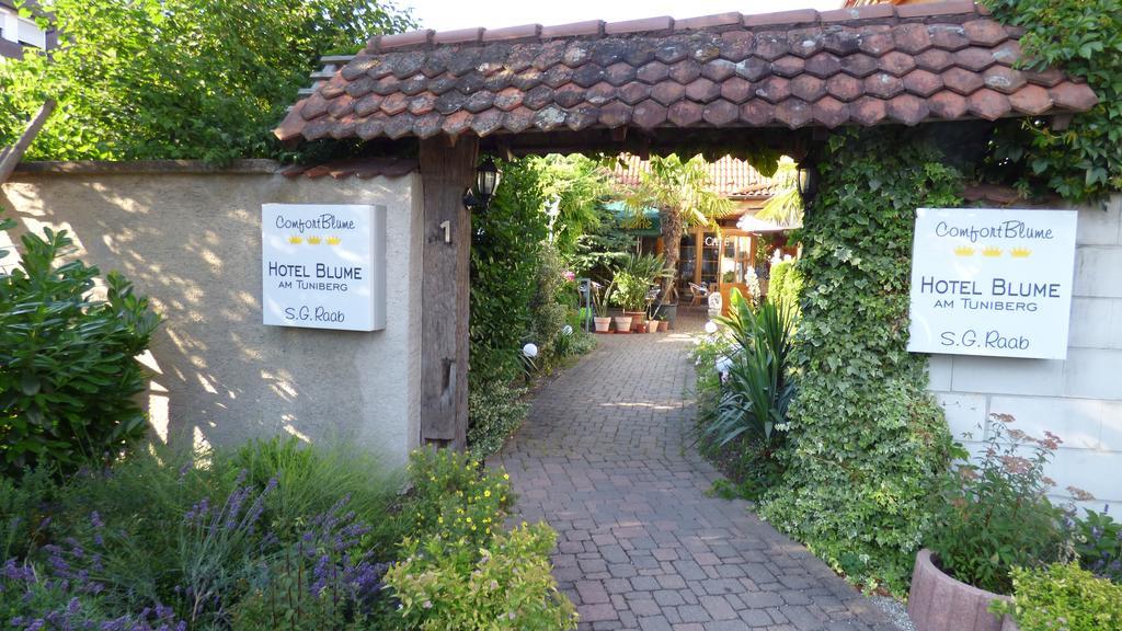 Hotel Blume Freiburg im Breisgau Dış mekan fotoğraf